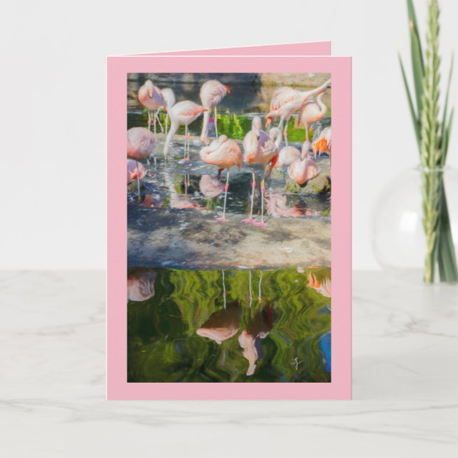 Rosa Flamingos Blank Greeting Card Kort (Framsida)
