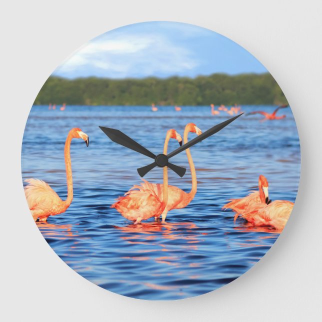 Rosa flamingos: Celestun Park, Mexiko. Stor Klocka (Framsida)