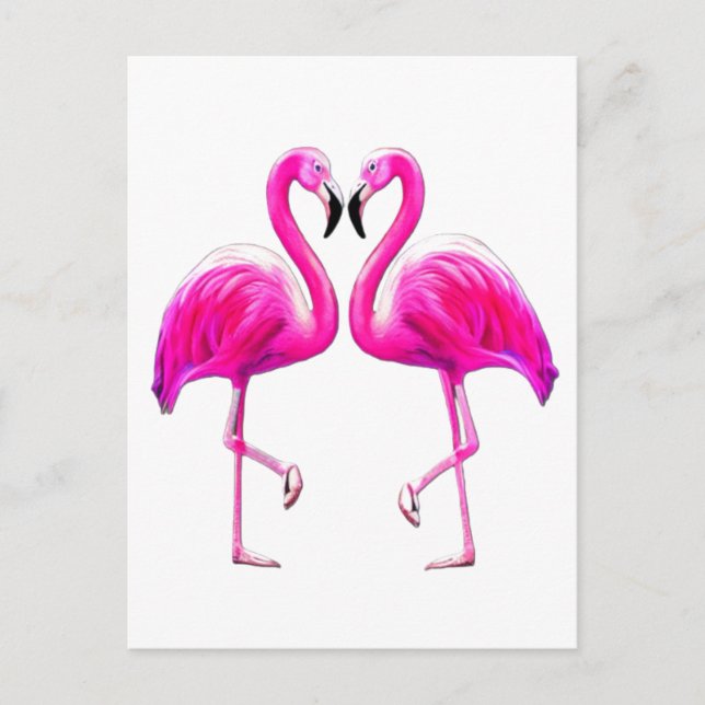 Rosa flamingos förälskade  vykort (Framsida)