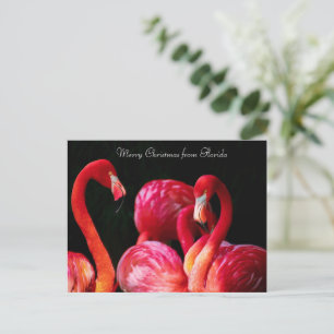 Rosa Flamingos ,God jul från Florida Helg Vykort