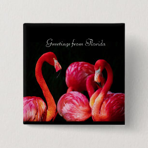 Rosa Flamingos ,Hälsning från Florida Knapp