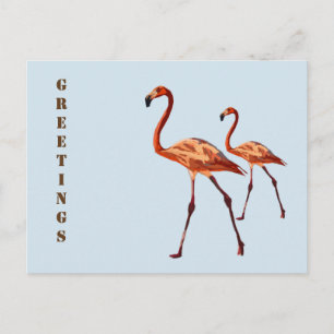 Rosa Flamingos Hälsning vykort