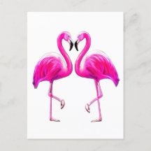 Rosa flamingos i kärlek 