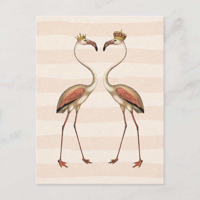 Rosa Flamingos i Krona Vykort (Framsida)