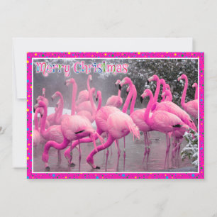 Rosa Flamingos i Snö God jul Julkort