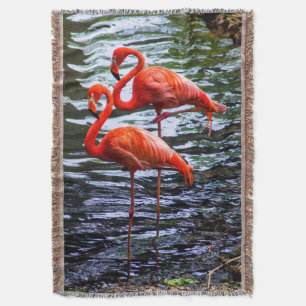 Rosa Flamingos i Vatten Filt
