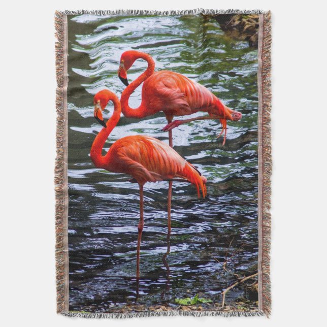 Rosa Flamingos i Vatten Filt (Framsidan Vertikal)