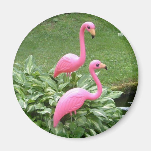 ROSA FLAMINGOS-magnet (runt) Magnet (Framsidan)