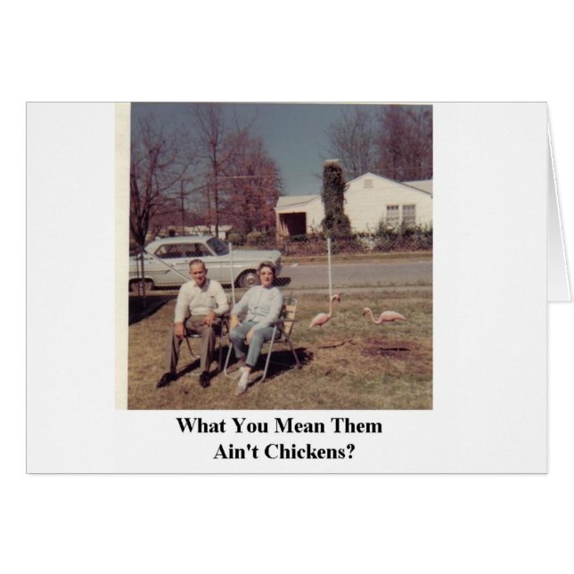 rosa flamingos med humorisont kort (Framsidan Horizontal)