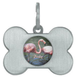 Rosa Flamingos Namnbricka Husdjur