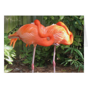 Rosa Flamingos Note Card OBS Kort