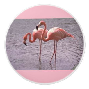 Rosa Flamingos på keramiska knoppar och handtag