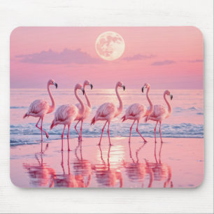 Rosa Flamingos på Rosa Beach Musmatta