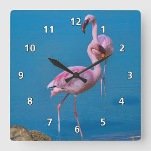 Rosa Flamingos på sjön Fyrkantig Klocka