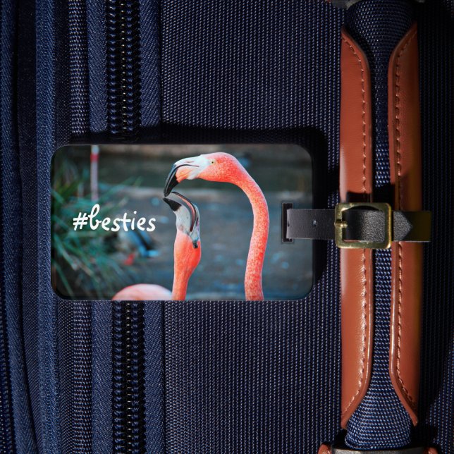 Rosa Flamingos Photo Besties Snyggt Modern Bagagebricka (Framsida Insitu 4)