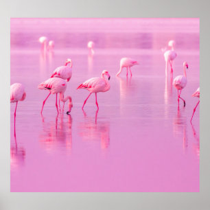 Rosa Flamingos Sjö Romantic Concept Poster