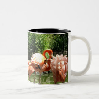 rosa flamingos Två-Tonad mugg