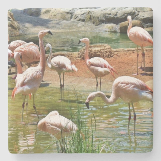 Rosa Flamingos Underlägg (Framsidan)