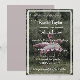 Rosa flamingos utomhusinbjudan till naturbröllop inbjudningar