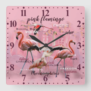 Rosa Flamingotypografi skräddarsy Fyrkantig Klocka