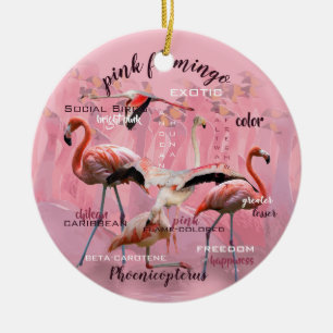 Rosa Flamingotypografi skräddarsy   Julgransprydnad Keramik