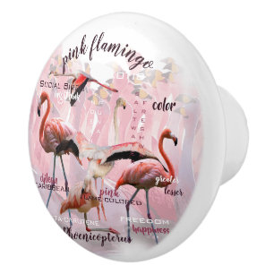 Rosa Flamingotypografi skräddarsy Knopp