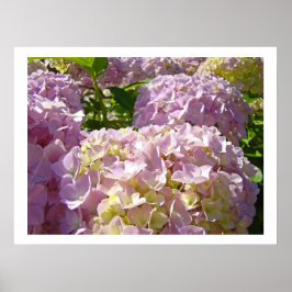 Rosa Flora Hortensia Blommor konsttryck Poster