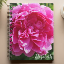 Rosa Floral Photography Elegant Peony Anpassningsb