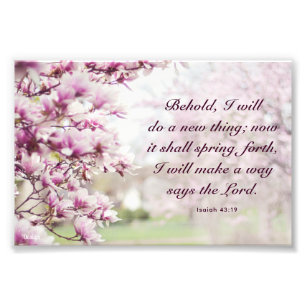 Rosa Floral Photography Inspiring Quote Fototryck