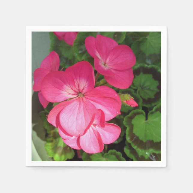 Rosa Floral Photography Pappersservett (Framsidan)