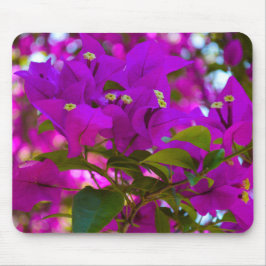 Rosa Flower - #1 Musmatta