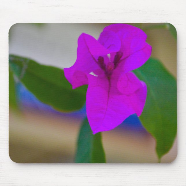 Rosa Flower - #2 Musmatta (Framsidan)