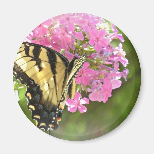 Rosa Flower and Butterfly Magnet (Framsidan)