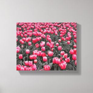 Rosa Flower Art Canvastryck