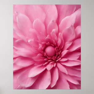 ROSA FLOWER ART POSTER