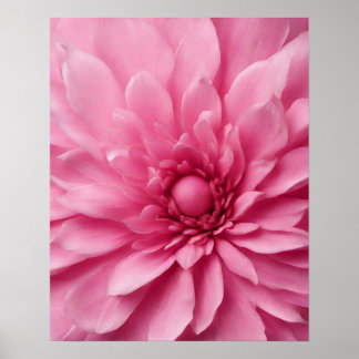 ROSA FLOWER ART POSTER