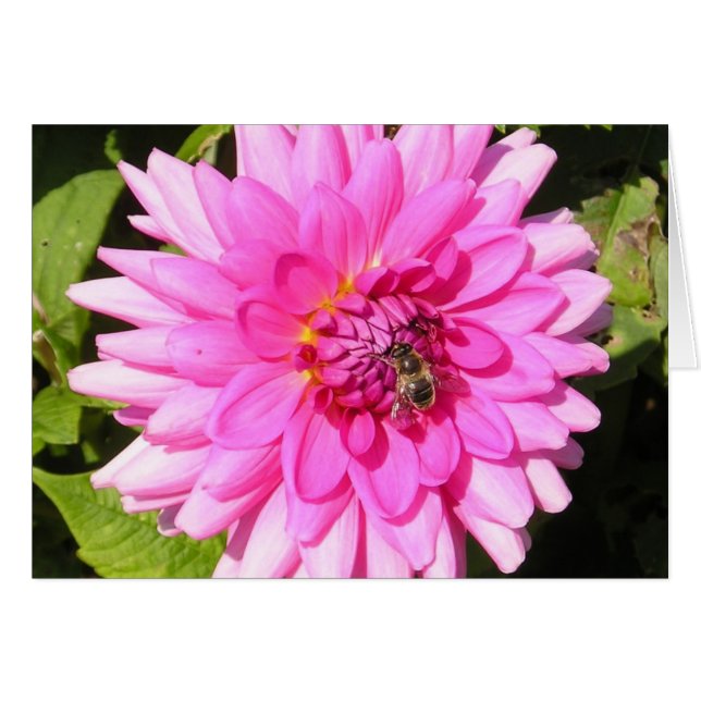 Rosa Flower & Bebi Card Hälsningskort (Framsidan Horizontal)