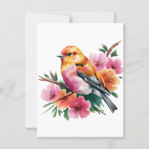 Rosa Flower Bird Vykort