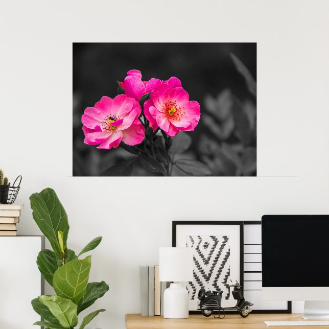 Rosa Flower Black White Monokrome Poster (Hemmakontoret)