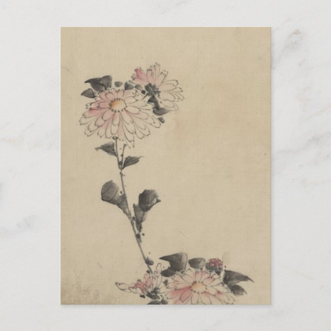 Rosa Flower Blommars on Low Stalk by Hokusai Vykort (Framsida)