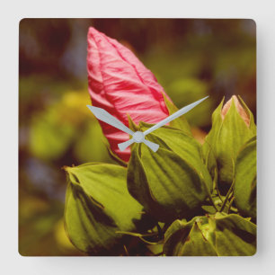 Rosa Flower Bud Blommigt Garden Photo Clock Fyrkantig Klocka