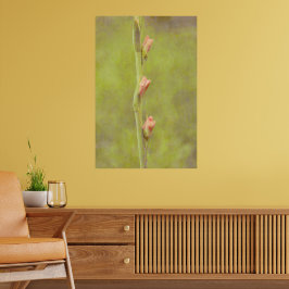 Rosa Flower Buds Gladiolus Art Poster