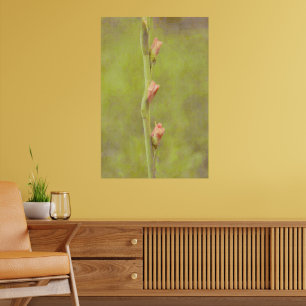 Rosa Flower Buds Gladiolus Art Poster