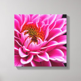 Rosa Flower Canvastryck