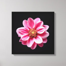 Rosa Flower Canvastryck