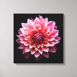 Rosa Flower Canvastryck