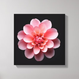 Rosa Flower Canvastryck