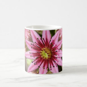 Rosa Flower Coffee Mag Kaffemugg
