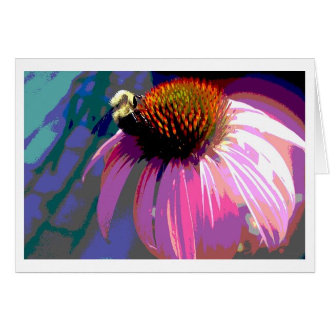 Rosa Flower Echinacea Fotography Hälsningskort (Framsidan Horizontal)