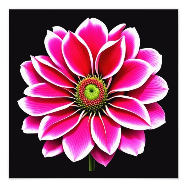 Rosa Flower Fototryck (Framsidan)
